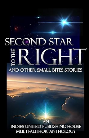 Book Cover of Second Star from the Right